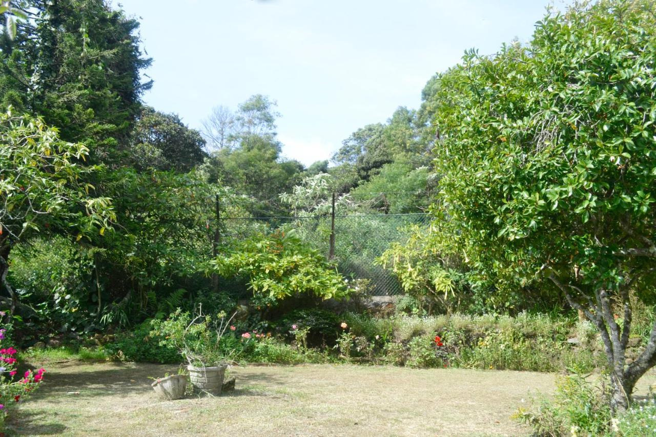 Samri Holiday Bunglow Nuwara Eliya Exteriér fotografie